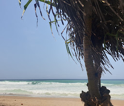 Pantai Wonogoro photo