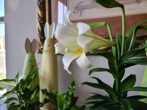 Florist «THE ROSE BOUTIQUE», reviews and photos, 955 Cincinnati Ave, San Antonio, TX 78201, USA