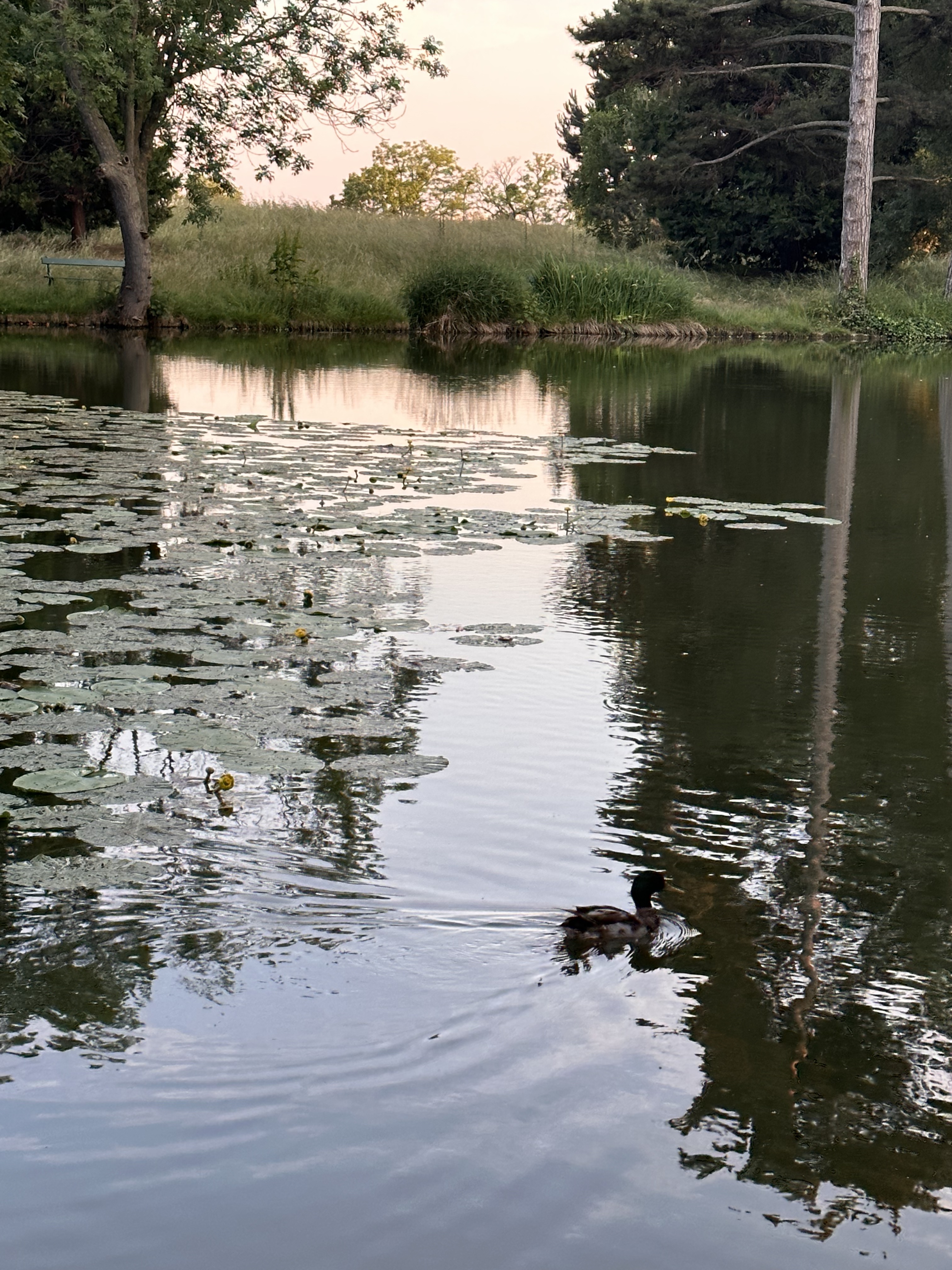 Photo n° 6 de l'avis de Rita.P fait le 08/06/2023 à 21:16