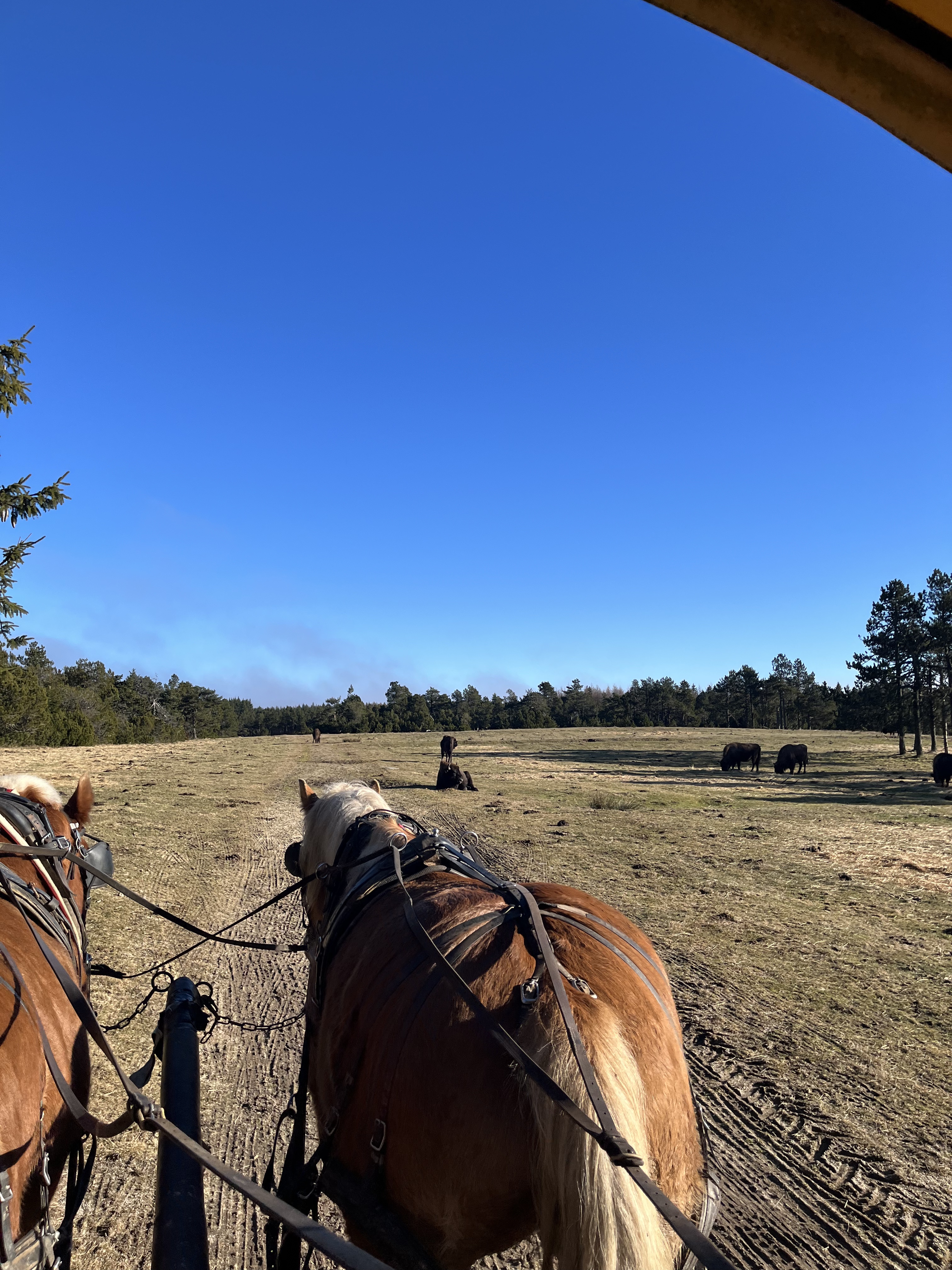 Photo n° 8 de l'avis de kerl.o fait le 06/01/2023 à 20:29