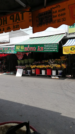 Top 11 cửa hàng koi thé Huyện Tân Hiệp Kiên Giang 2022