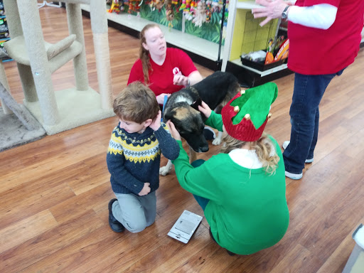 Pet Supply Store «Pet Supermarket», reviews and photos, 2090 E Arapaho Rd, Richardson, TX 75081, USA