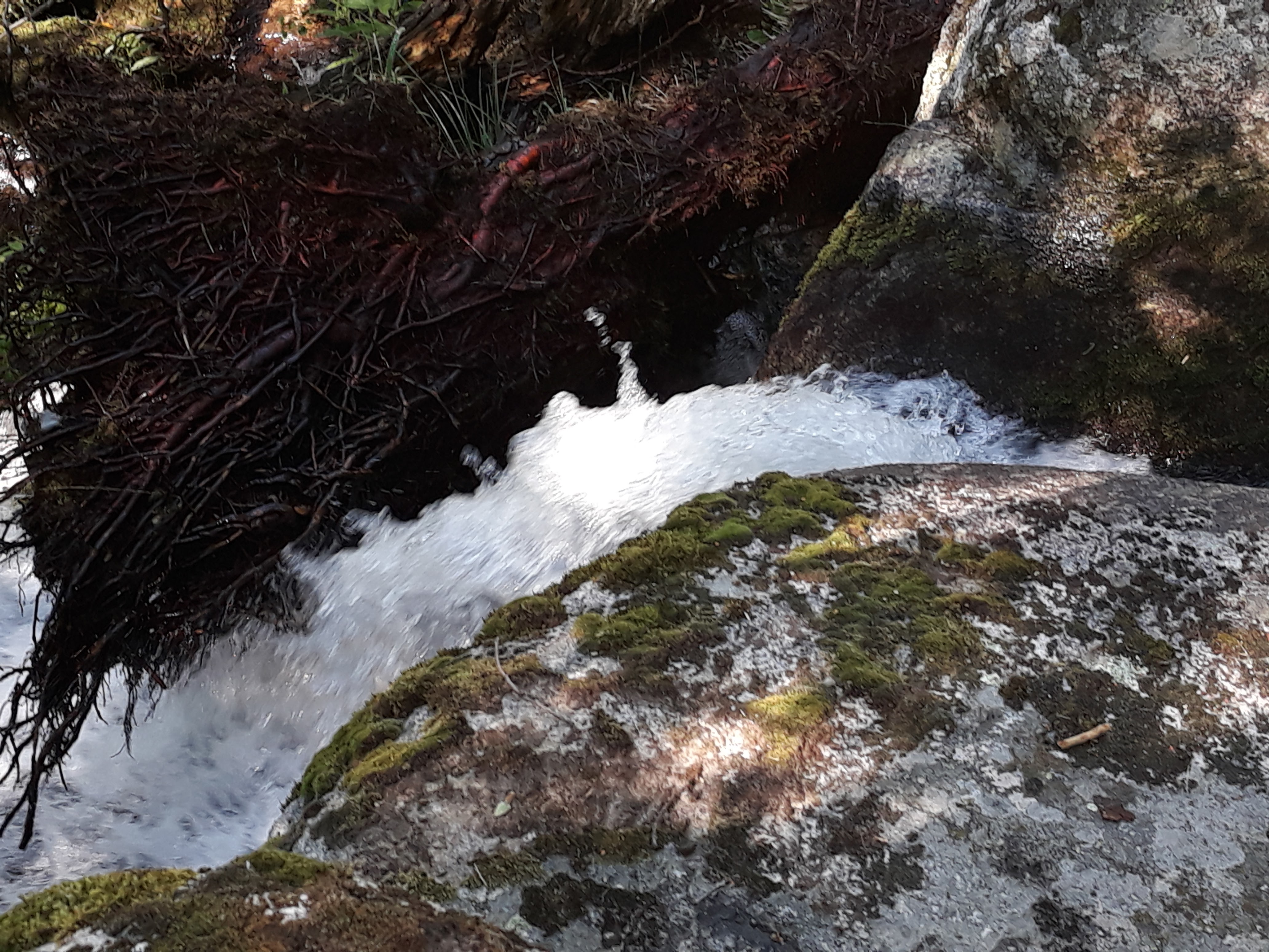 Photo n° 1 de l'avis de martine.l fait le 03/11/2018 à 17:20