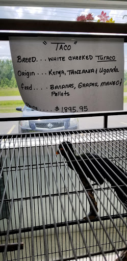 Pet Store «Adventure Birds of Bon Aqua», reviews and photos, 9600 TN-46, Bon Aqua, TN 37025, USA