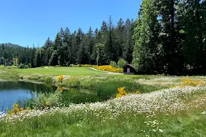 Bear Mountain Golf Club image