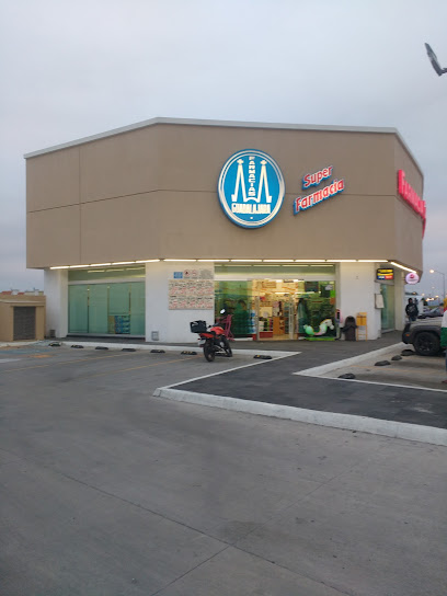 Farmacia Guadalajara, , Rancho El Conejo