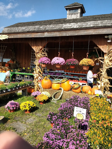 Produce Market «The Bigsby Market», reviews and photos, 1418 Dryden Rd, Freeville, NY 13068, USA
