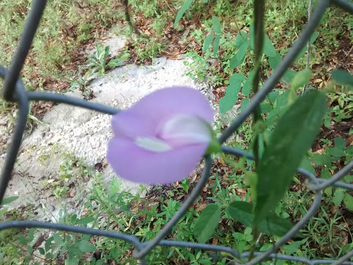 5924 Graham Ln, Milton, FL 32583, USA