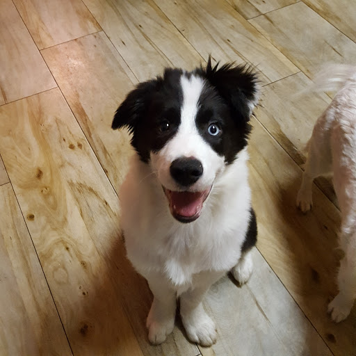 6685 Glen Albin Rd, La Plata, MD 20646, USA