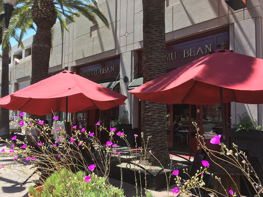 Outdoor dinning 