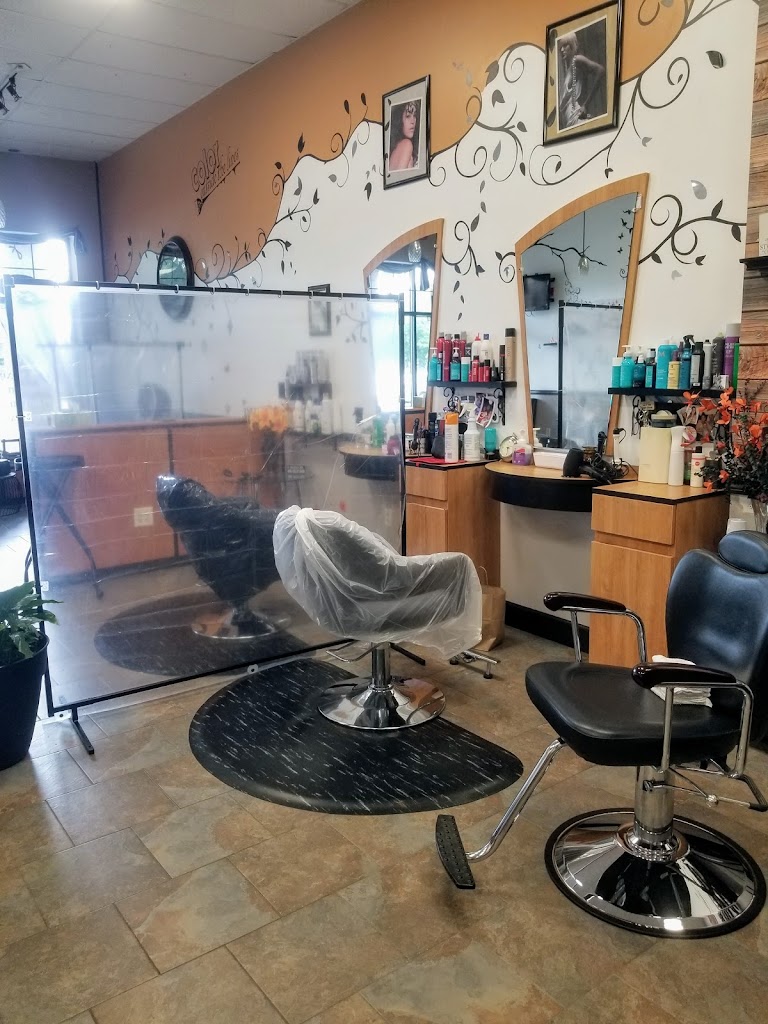 Hair Avenue 01970