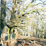 Photo n°1 de l'avis de Amilawrence.b fait le 06/01/2020 à 18:49 sur le  Restaurant Schützenhaus Reutlingen à Reutlingen