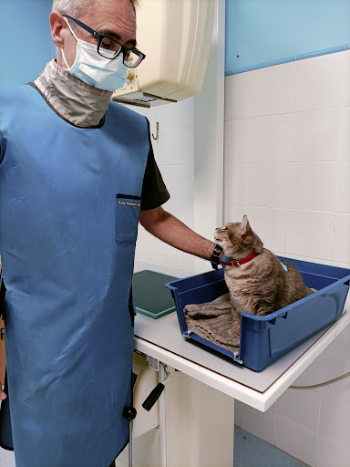 Clínica Veterinaria Parque Central en Benetússer