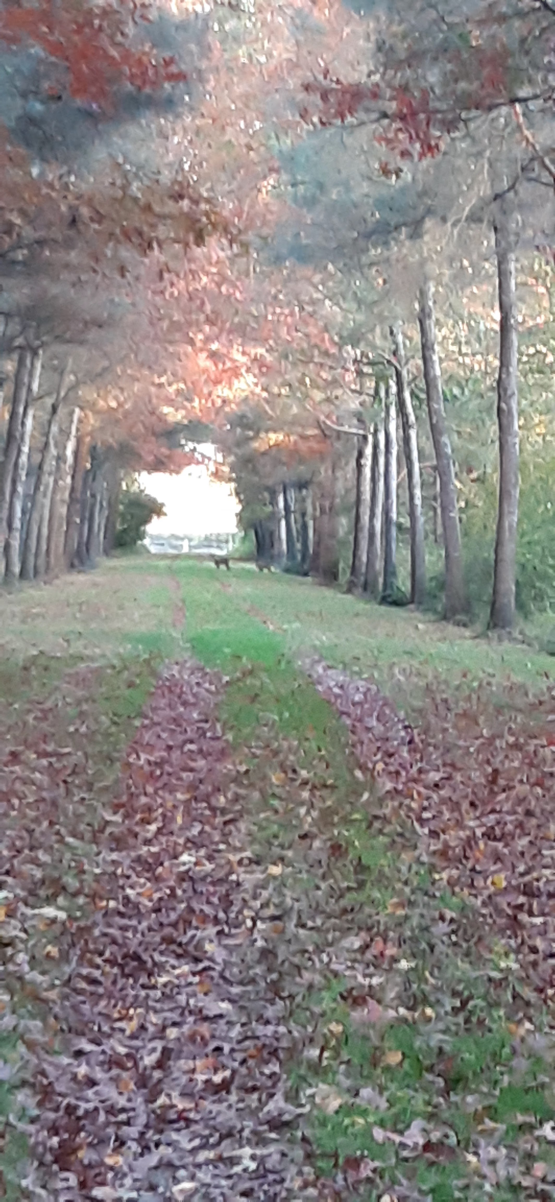 Photo n° 2 de l'avis de Alexandra.a fait le 31/10/2021 à 16:27