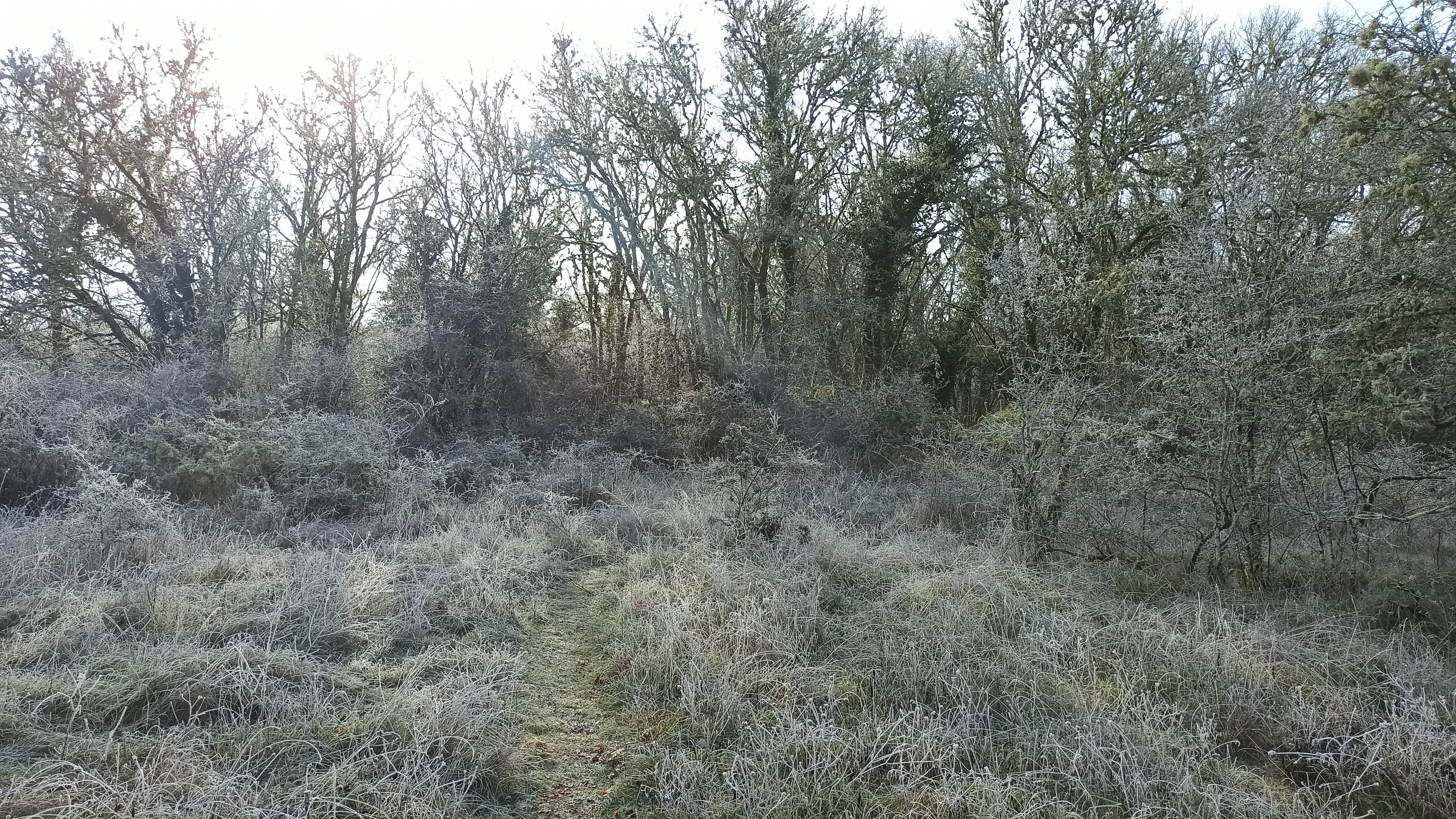 Photo n° 38 de l'avis de Veltas. fait le 30/10/2019 à 11:55