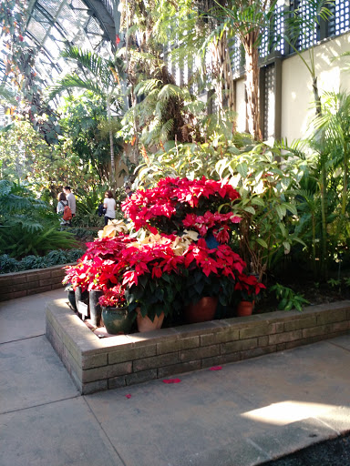 Botanical Garden «Botanical Building», reviews and photos, 1549 El Prado, San Diego, CA 92101, USA