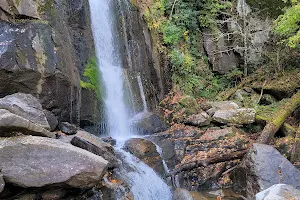 High Shoals Falls image