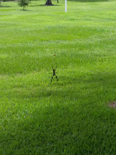 Park «Plantation Heritage Park», reviews and photos, 1100 S Fig Tree Ln, Plantation, FL 33317, USA