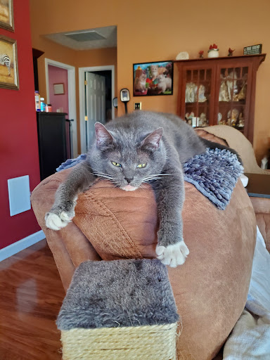 Pet Supply Store «PetSmart», reviews and photos, 8281 Troy Pike, Huber Heights, OH 45424, USA