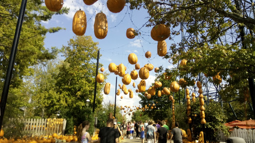 Theme Park «Action Zone», reviews and photos, 6300 Kings Island Drive, Kings Mills, OH 45034, USA