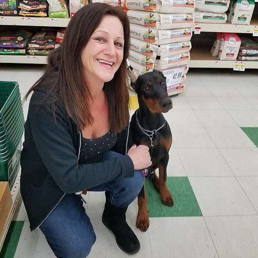 Pet Supply Store «Pet Supplies Plus», reviews and photos, 5348 Dixie Hwy, Waterford Twp, MI 48329, USA