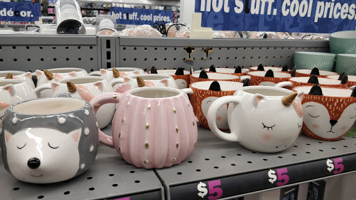 Variety Store «Five Below», reviews and photos, 1468 E Golf Rd, Schaumburg, IL 60173, USA