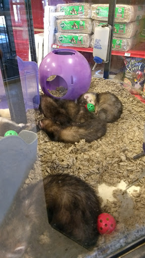 Pet Supply Store «Petco Animal Supplies», reviews and photos, 3731 Gateway Dr, Eau Claire, WI 54701, USA