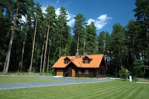 Dom Pod Sosnami image