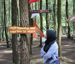 Tugu Pertigaan Wajak photo