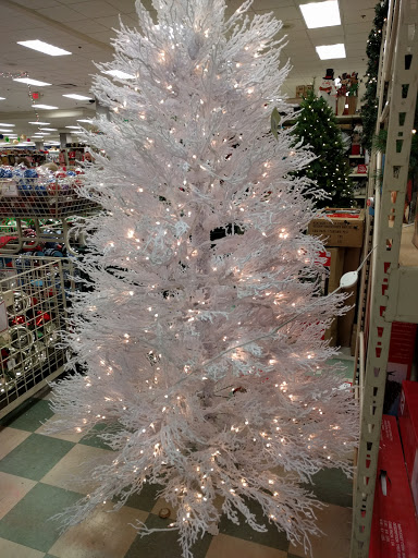 Home Goods Store «Christmas Tree Shops», reviews and photos, 15 Backus Ave Suite 42, Danbury, CT 06810, USA