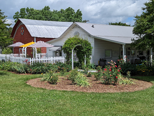 Laurel Gray Vineyards