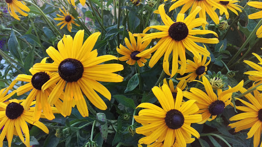 Event Venue «The Kelley Farm», reviews and photos, 20021 Sumner-Buckley Hwy E, Bonney Lake, WA 98391, USA