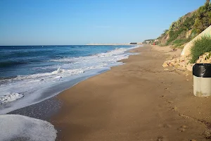 Platja del Francàs image