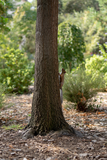 Pioneer Memorial Park image