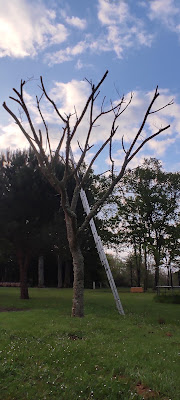 TECKNI 41 à Gièvres