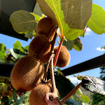 Photo n°2 de l'avis de Jeroen.a fait le 15/09/2019 à 11:11 sur le  Hotel Weingarten à Gargazon