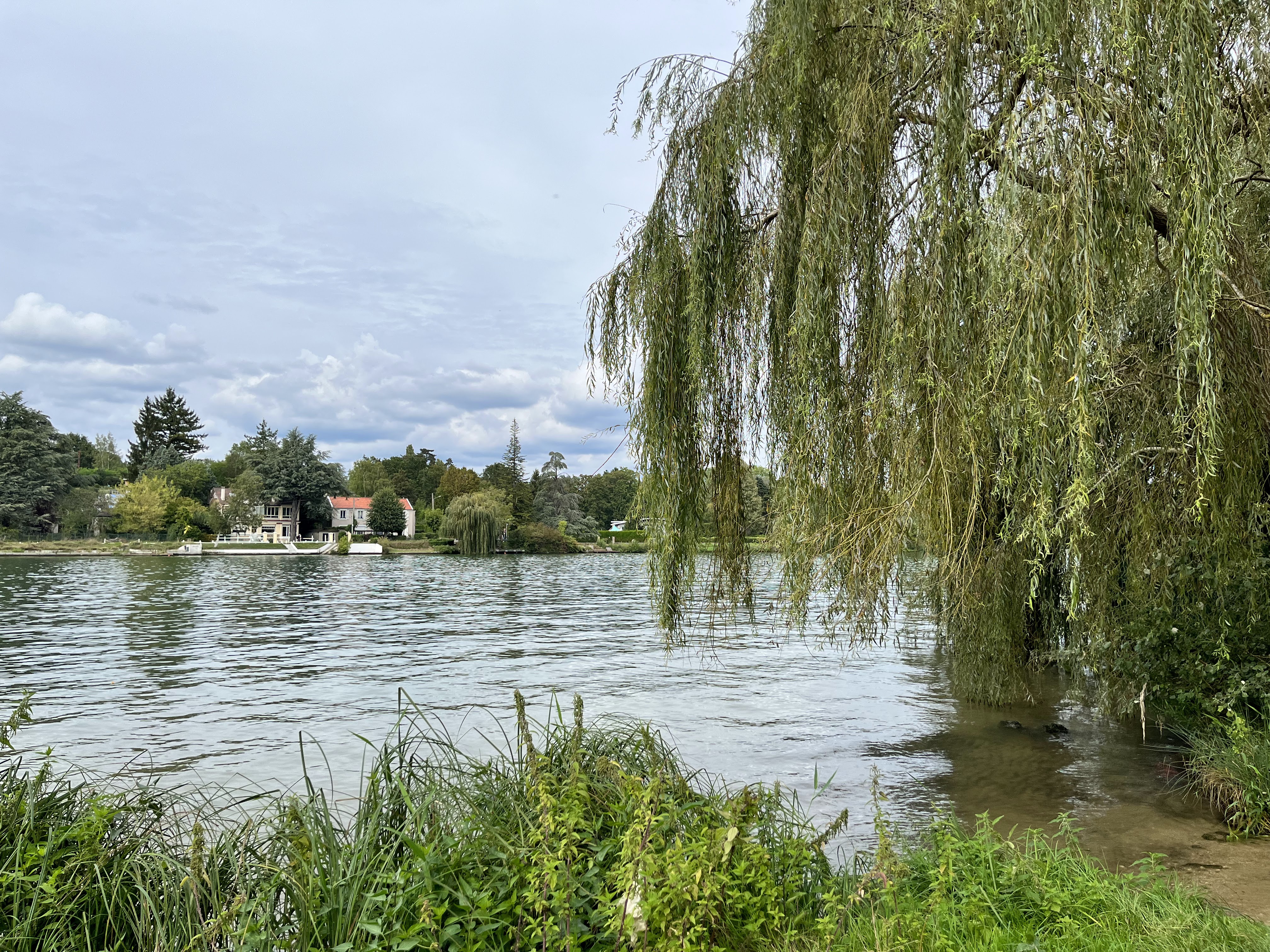 Photo n° 1 de l'avis de François.E fait le 16/09/2023 à 18:07