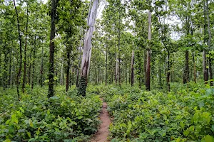 Amlagora Range Elephant Corridor image