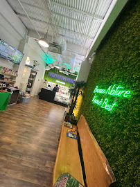 Hope's Organics - Photo 2 - Car repair in Bloomington, IN, Bloomington