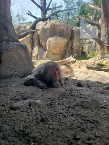 Zoo «Farm In The Zoo», reviews and photos, 1911 N Stockton Dr, Chicago, IL 60614, USA