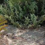 Photo n°1 de l'avis de Pietro.a fait le 23/07/2023 à 07:51 sur le  Lido - Ristorante La Spiaggetta à Pisticci