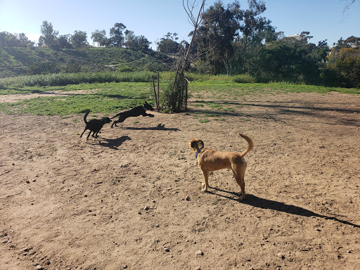 Dog Park «Morley Field Dog Park», reviews and photos, Morley Field Dr & Alabama St, San Diego, CA 92104, USA