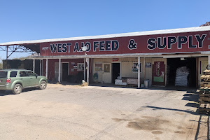 West Ajo Feeds