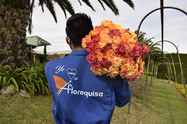 Opiniones de Florequisa Flower Growers en Tabacundo - Floristería