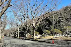 Yokosuka Shiei Park Cemetery image