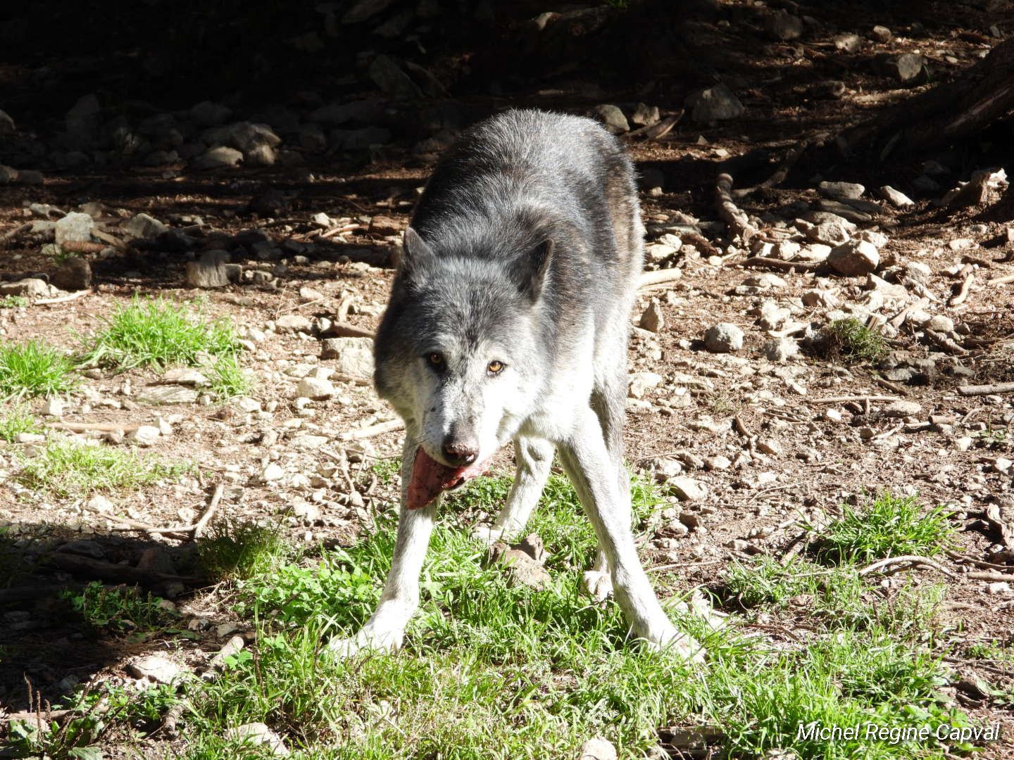 Photo n° 5 de l'avis de michel.a fait le 03/10/2019 à 13:25