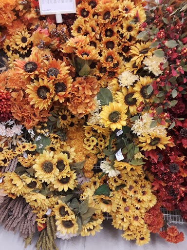 Fabric Store «Jo-Ann Fabrics and Crafts», reviews and photos, 11215 Causeway Blvd, Brandon, FL 33511, USA