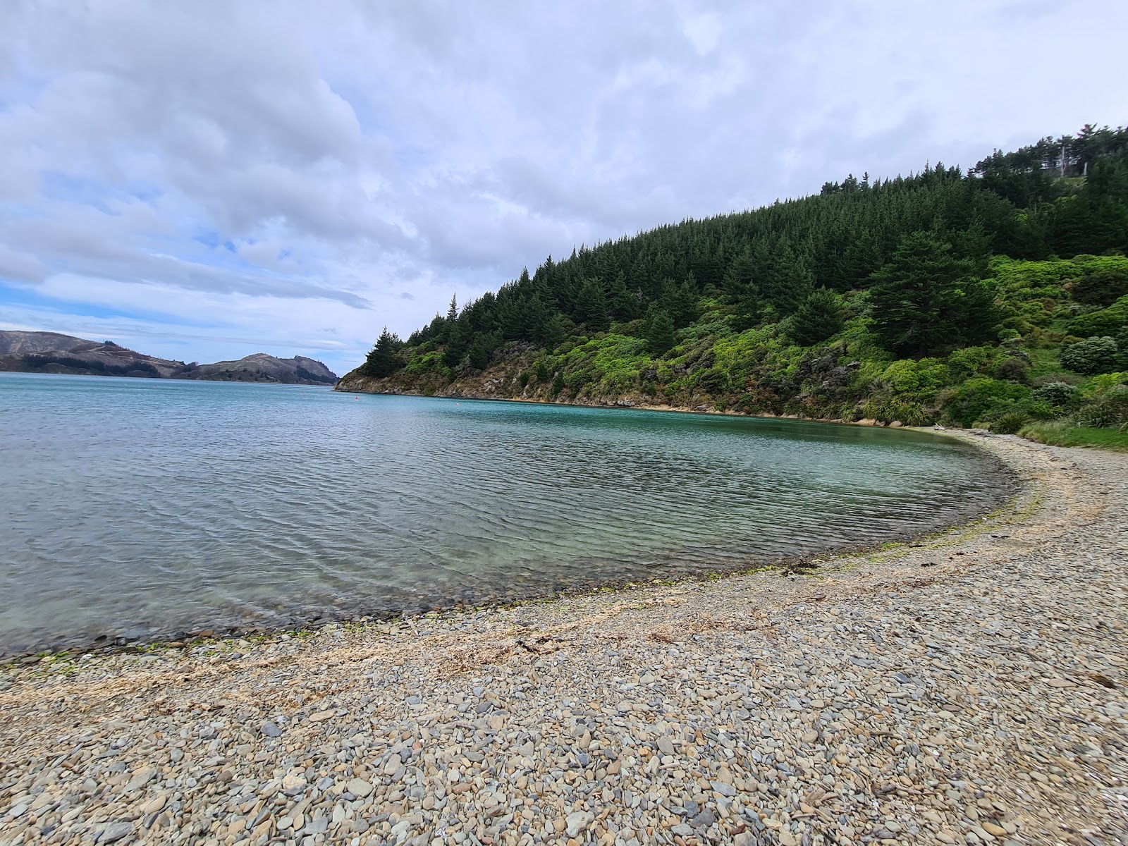 Ocean Bay Beach'in fotoğrafı çok temiz temizlik seviyesi ile