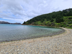 Ocean Bay Beach'in fotoğrafı çok temiz temizlik seviyesi ile