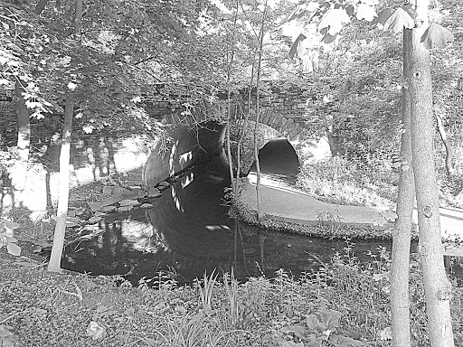 Park «Willson’s Woods Park», reviews and photos, 8 Bradford Rd, Mt Vernon, NY 10553, USA